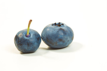 Two fresh blueberries on white