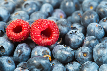 Two fresh raw raspberries and a bunch of blueberries