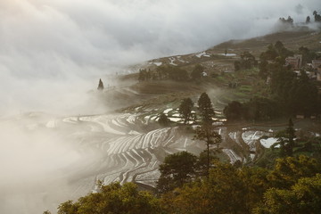 Rizières dans le Yunan au lever du soleil