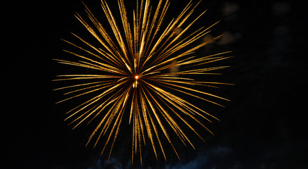 Colorful fireworks in night sky