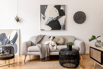 Stylish and scandinavian living room interior of modern apartment with gray sofa, design wooden commode, black table, lamp, abstrac paintings on the wall. Beautiful dog lying on the couch. Home decor. - obrazy, fototapety, plakaty