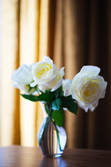 White beautiful rose flowers in a glass vase. Large rose buds with petals.