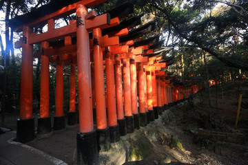 Fushimi Inari taisha thousand shrines in Kyoto Japan