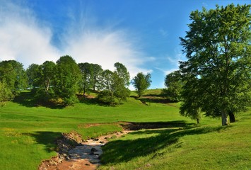 Fototapeta na wymiar landscape on a field with trees and a stream
