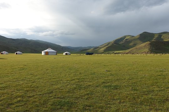 Yourtes dans la steppe mongole