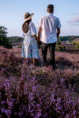 young couple visiting the blooming Heather field Posbank Veluwezoom in the Netherlands, purpple hills with blooming flowers