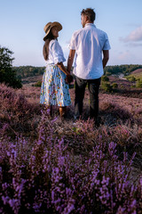young couple visiting the blooming Heather field Posbank Veluwezoom in the Netherlands, purpple hills with blooming flowers