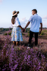 young couple visiting the blooming Heather field Posbank Veluwezoom in the Netherlands, purpple hills with blooming flowers