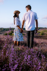 young couple visiting the blooming Heather field Posbank Veluwezoom in the Netherlands, purpple hills with blooming flowers