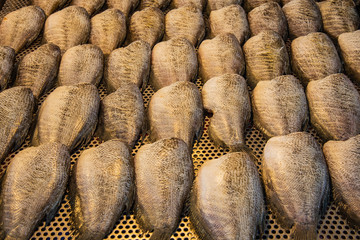Dried snake skin gourami fish without head arrangement on bamboo tray.