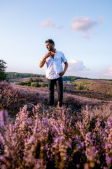 young men visit the Posbank blooming Heather fields, guy walking in blooming Heather field Veluwezoom