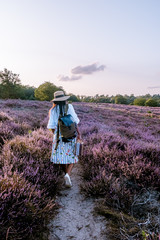 young girl with dress and hat visiting the blooming Heather field Posbank Veluwezoom in the Netherlands, purpple hills with blooming flowers