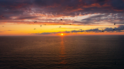 gabbiani sopra il mare al tramonto bellissimo