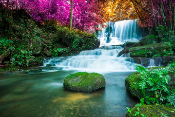 Amazing in nature, beautiful waterfall at colorful autumn forest in fall season