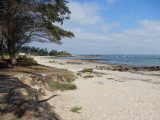  Ile d'Yeu, plage du marais salé, Vendée, France