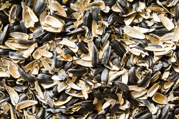 Closeup pile of peels from sunflower seeds texture background.