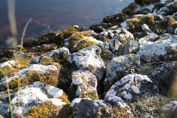 Rocky shore of Scotland