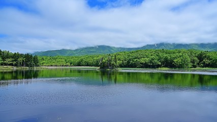 Fototapeta na wymiar 遊歩道から見た知床五湖の情景＠北海道