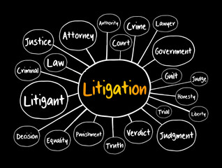 Litigation mind map, law concept for presentations and reports