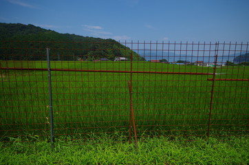 Fototapeta premium 田んぼと錆びた柵