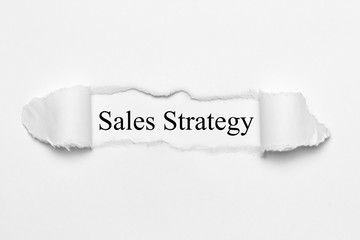 Obraz premium Sales Strategy