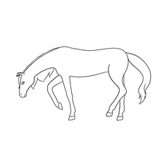 Isolated object of running and horse sign. Collection of running and hoofed stock vector illustration.