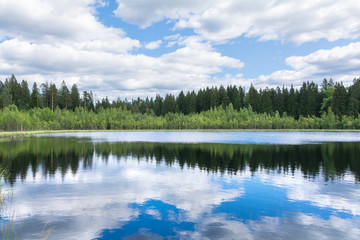 Fototapeta premium Panorama landscape. forest and lake beautiful and colorful scene.clouds reflection in the water