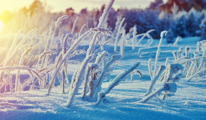 Beautiful Christmas landscape
