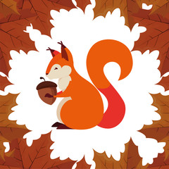 squirrel acorn happy autumn season flat design