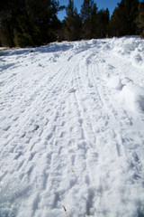 Marcas de pneumático de bicicleta en la nieve