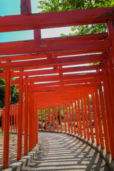高山稲荷神社千本鳥居
