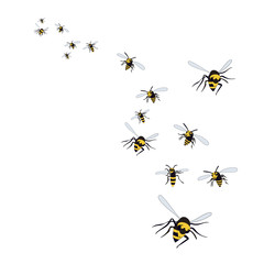 isolated, flying wasp, bees on a white background