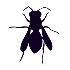 vector, isolated, silhouette of a wasp, bee on a white background