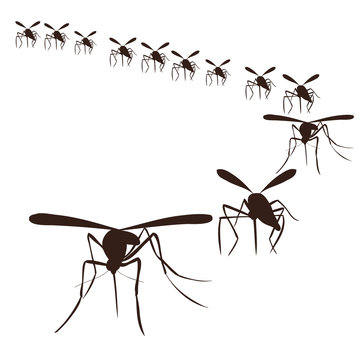 vector, isolated, silhouette mosquitoes fly on a white background