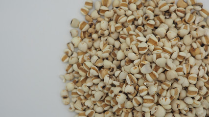 Job's Tears, also known as adlay and coix on white background. Popular in Asian cultures as a food source.