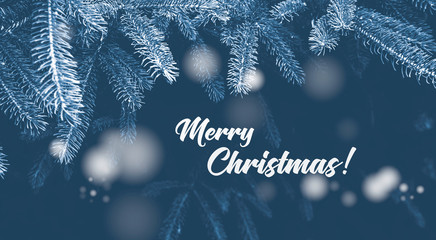 Spruce branches and text "Merry Christmas!" on a dark background