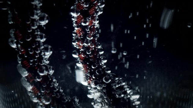 4k Extreme Close-up of Water Bubbles on Flower