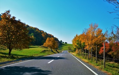 road in autumn field