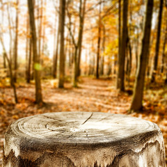 Autumn background of free space for your decoration. 