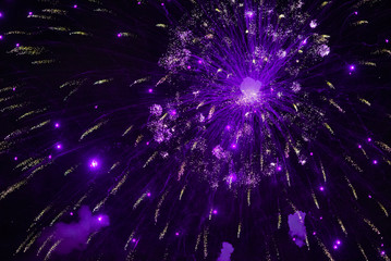 Purple firework. Violet fireworks 