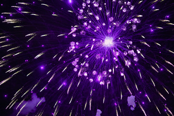 Violet firework in the night sky. Purple fireworks