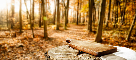 Autumn background of free space for your decoration. 