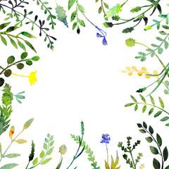 Watercolor herbal frame