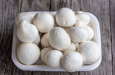 champignon mushrooms in a white container on a wooden background close-up