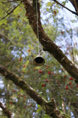 Bell on a tree