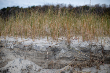 erosion along the western shore line of the chesapeake pay in southern maryland at flag ponds nature park in calvert county