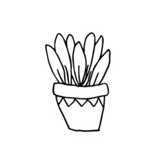 Plant drawing vector