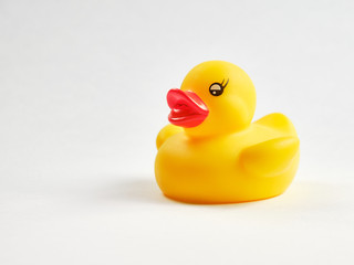 Rubber toy duck on a white background