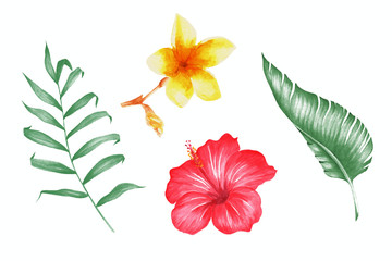 Watercolor tropical collecton. Palm, banana and monstera leaves with tropical flowers.