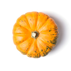 Decorative mini pumpkin isolated on white background, top view